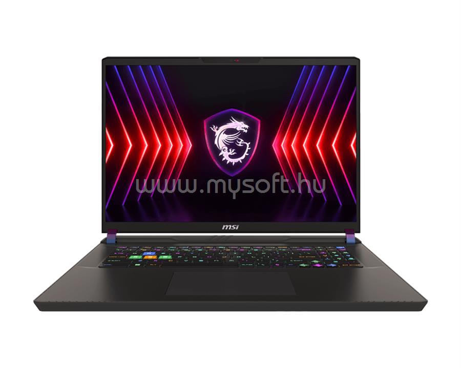 MSI Vector 17 HX A14VGG (Cosmos Gray)